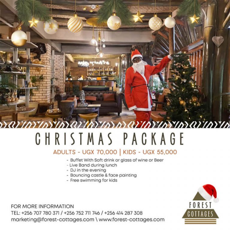 Forest Cottages christmas package special offer